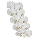 Fresh Cut Phalaenopsis A Grade Long Vase Life Purple Phalaenopsis Cut Flowers Wholesale Cold Chain Export