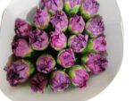 Fresh Cut Carnations Dianthus Supplier China Yunnan Bulk Export For Overseas Flower Importers