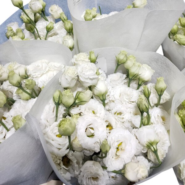 Premium Fresh Cut White Lisianthus Eustoma Wholesale Yunnan For Wedding Bouquets