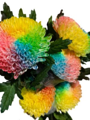 Fresh Cut Chrysanthemum Rainbow Peony Chrysanthemum Wholesale Yunnan Wedding Bouquet Filler Flowers