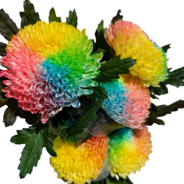 Fresh Cut Chrysanthemum Rainbow Peony Chrysanthemum Wholesale Yunnan Wedding Bouquet Filler Flowers