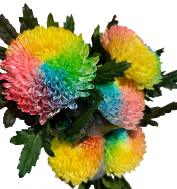 Fresh Cut Chrysanthemum Rainbow Peony Chrysanthemum Wholesale Yunnan Wedding Bouquet Filler Flowers