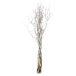 Fresh Cut Salix Green Foliage & Greenery Filler Leaves Assorted Decorative Green Branches Wholesale Cold Chain Supply from Yunnan Kunmin