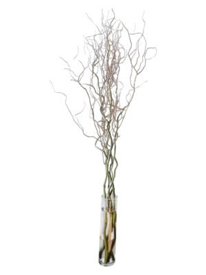 Fresh Cut Salix Green Foliage & Greenery Filler Leaves Assorted Decorative Green Branches Wholesale Cold Chain Supply from Yunnan Kunmin