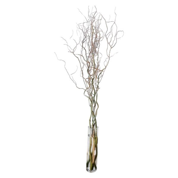 Fresh Cut Salix Green Foliage & Greenery Filler Leaves Assorted Decorative Green Branches Wholesale Cold Chain Supply from Yunnan Kunmin