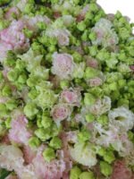 Premium Fresh Cut  Lisianthus Bi-color Eustoma Wholesale Yunnan For Wedding Bouquets