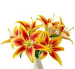 Premium Fresh Cut Lilies Bi-color Lily Wholesale Yunnan For Wedding Bouquets, Event Centerpieces & Hotel Florals