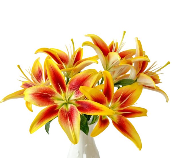 Premium Fresh Cut Lilies Bi-color Lily Wholesale Yunnan For Wedding Bouquets, Event Centerpieces & Hotel Florals
