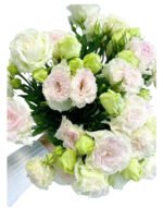 Premium Fresh Cut  Lisianthus Bi-color Eustoma Wholesale Yunnan For Wedding Bouquets