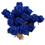 Fresh Cut Painted Roses Flowers Decorative Wholesale Cold Chain Supply from Yunnan Kunming