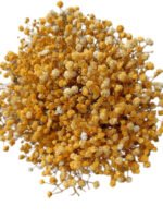 Premium Fresh Cut Gypsophila Baby’s Breath Wholesale Yunnan Universal Wedding Bouquet Filler