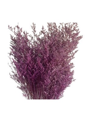 Fresh Cut Statice Limonium A Grade Filler Flowers Wholesale from Yunnan Kunming Cold Chain Export