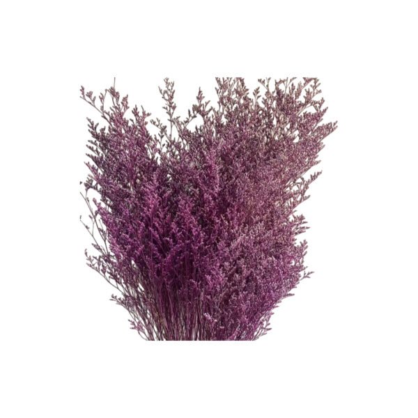 Fresh Cut Statice Limonium A Grade Filler Flowers Wholesale from Yunnan Kunming Cold Chain Export