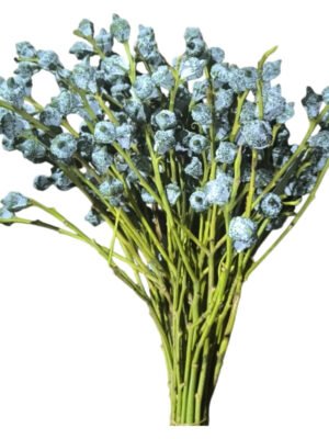 Fresh Cut Eucalyptus Pods A Grade Long Vase Life Eucalyptus Pods Fruits for Flower Arrangement Wholesale Cold Chain Export