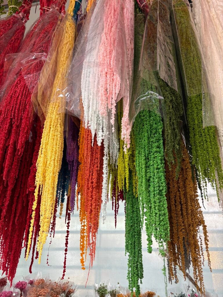 preserved flowers