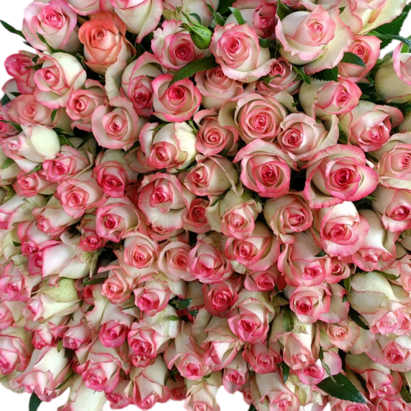 成堆鲜花3