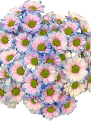 极光紫吸色小菊4