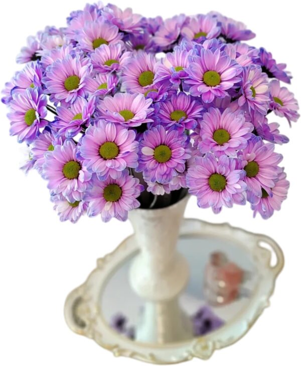 Fresh Cut Dyed Spray Chrysanthemum Purple Color Wholesale Yunnan Bouquet Filler Flowers