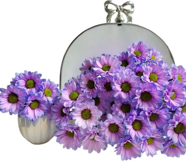 Fresh Cut Dyed Spray Chrysanthemum Purple Color Wholesale Yunnan Bouquet Filler Flowers