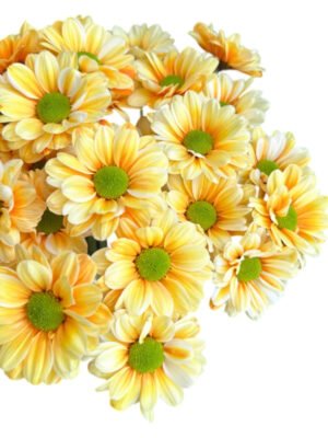 Fresh Cut Dyed Spray Chrysanthemum Orange Color Wholesale Yunnan Bouquet Filler Flowers