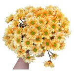 Fresh Cut Dyed Spray Chrysanthemum Orange Color Wholesale Yunnan Bouquet Filler Flowers