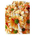 Fresh Cut Dyed Spray Chrysanthemum Orange Color Wholesale Yunnan Bouquet Filler Flowers