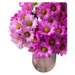Fresh Cut Dyed Spray Chrysanthemum Pink Color Wholesale Yunnan Bouquet Filler Flowers