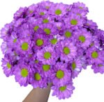 Fresh Cut Dyed Spray Chrysanthemum Aurora Purple Color Wholesale Yunnan Bouquet Filler Flowers