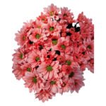 Fresh Cut Dyed Spray Chrysanthemum Red Color Wholesale Yunnan Bouquet Filler Flowers