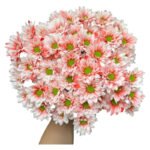 Fresh Cut Dyed Spray Chrysanthemum Red Color Wholesale Yunnan Bouquet Filler Flowers