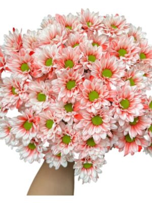 Fresh Cut Dyed Spray Chrysanthemum Red Color Wholesale Yunnan Bouquet Filler Flowers