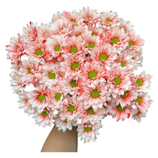 Fresh Cut Dyed Spray Chrysanthemum Red Color Wholesale Yunnan Bouquet Filler Flowers