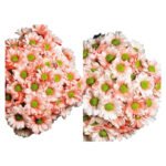 Fresh Cut Dyed Spray Chrysanthemum Red Color Wholesale Yunnan Bouquet Filler Flowers