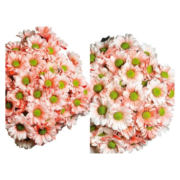 Fresh Cut Dyed Spray Chrysanthemum Red Color Wholesale Yunnan Bouquet Filler Flowers