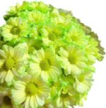 Fresh Cut Dyed Spray Chrysanthemum Green Color Wholesale Yunnan Bouquet Filler Flowers
