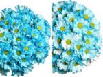 Fresh Cut Dyed Spray Chrysanthemum Blue Color Wholesale Yunnan Bouquet Filler Flowers