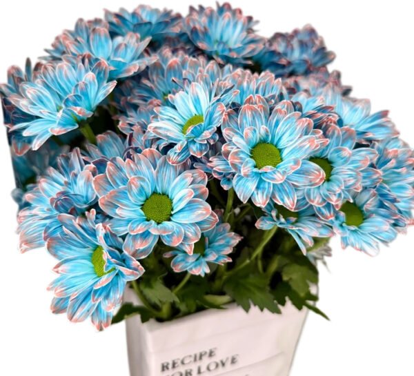 Fresh Cut Dyed Spray Chrysanthemum Blue Color Wholesale Yunnan Bouquet Filler Flowers